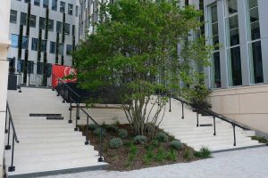 33 Bordeaux Amédée Brettes 06