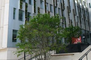 33 Bordeaux Amédée Brettes 09