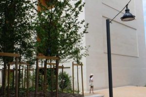 33 Bordeaux Amédée Passage Et Coeur St Germain 07