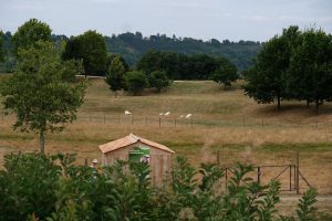 MyWau Valence D'Agen Parc Ponthus 4