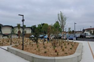 MyWay - Anglet - centre aquatique - 07