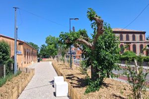 MyWay - Aucanville - 14