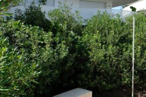 MyWay Bayonne Opalescence 8