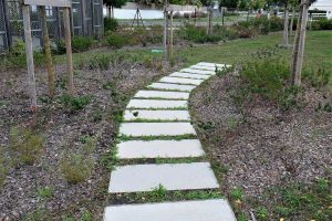 MyWay-Benesse-Maremne-groupe-scolaire-5