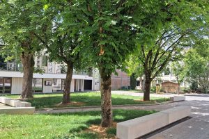 MyWay - Cahors - lycée Marot - 13