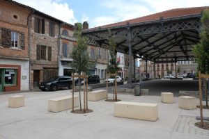 MyWay Le Fousseret 12