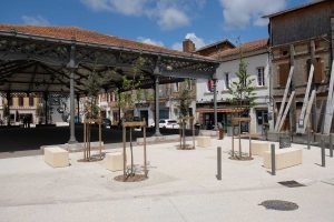 MyWay Le Fousseret 14