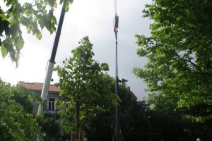 MyWay - Lycée Tivoli - Bordeaux- 6