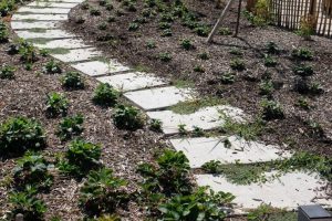 MyWay Mérignac Berthelot 8