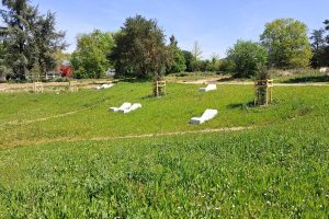 MyWay - Pau zac Favre - 13