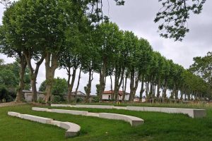 MyWay - Saint Pierre d'Irube - 15
