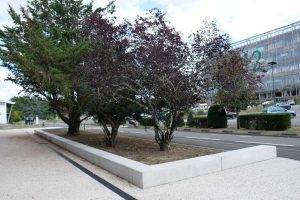 MyWay Talence Béthanie 12