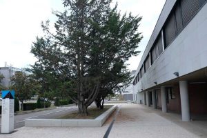 MyWay Talence Béthanie 14