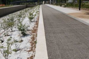 MyWay Toulouse ïle Du Ramier 2 14