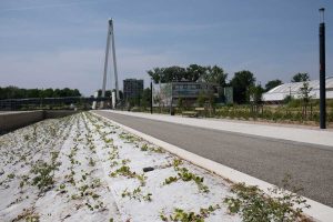 MyWay Toulouse ïle Du Ramier 2 15