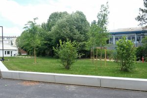 MyWay - lycée Pierre d'Aragon - Muret - 4