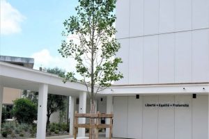 MyWay - lycée Pierre d'Aragon - Muret
