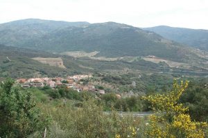 MyWay Récolte Des Olives Vue De Valbom