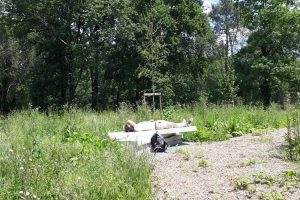 Myway Pessac Aulide 14