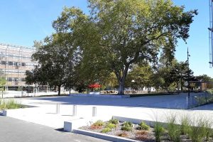 Myway Talence Béthanie 17