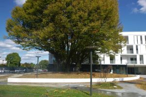 Myway Projet De Pau Nouste Soureilh 14